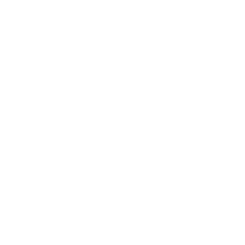 08_dlp