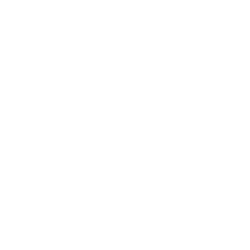 12_ips_ids