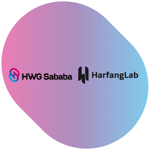 immagini blog HWG Sababa (500 x 500 px) (24) HarfangLab